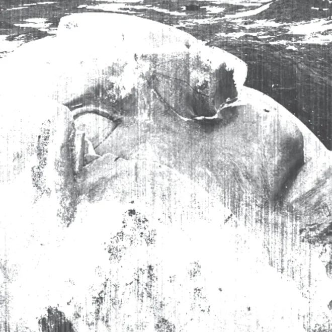 Collapse