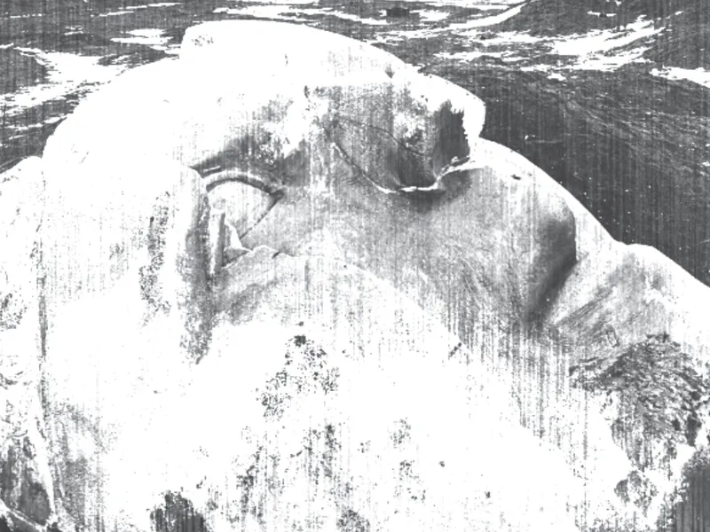 Alt text for image A